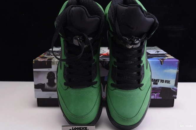 1st Kicks CK6631- Jordan SE 5 1085 Oregon Ducks StreetReady Air 1105